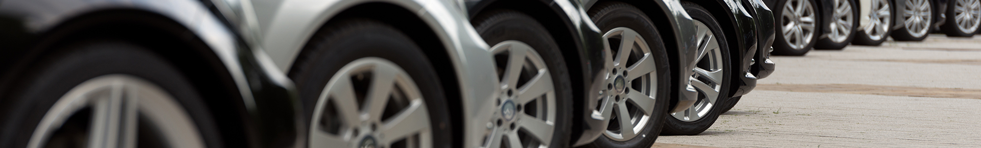 Search - Banner